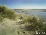 Nationaal Park Duinen van Texel 