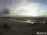 Nationaal Park Duinen van Texel 