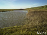 Nationaal Park Duinen van Texel 