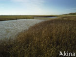 Nationaal Park Duinen van Texel 