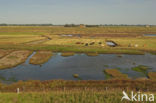 National Park Oosterschelde