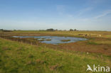 National Park Oosterschelde