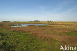 Nationaal Park Oosterschelde