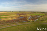 National Park Oosterschelde