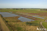 Nationaal Park Oosterschelde