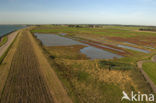 Nationaal Park Oosterschelde