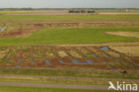 Nationaal Park Oosterschelde