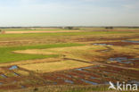 Nationaal Park Oosterschelde