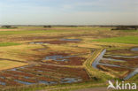 National Park Oosterschelde