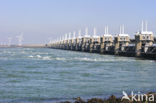 Oosterscheldedam