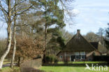 Schoonebeek