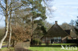 Schoonebeek