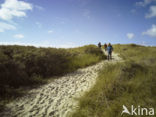 Texel