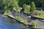 Tummel rivier