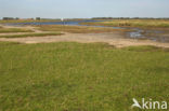 Veerse Meer