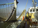 Waddenzee