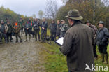 Ardennes