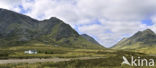 Buachaille Etive Mor