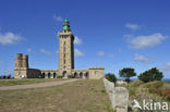 Cap Frehel