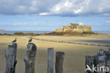 Fort National