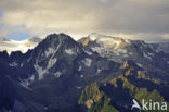 Gavia Pass