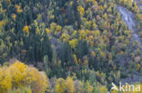 Nationaal Park Hohe Tauern