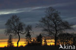 Natural Park Hautes Fagnes