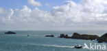 Pointe du Grouin