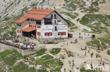 Rifugio Locatelli