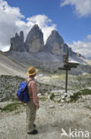 Tre Cime di Lavaredo