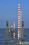 Zeeland