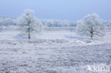 Gasterse Duinen