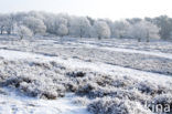 Gasterse Duinen