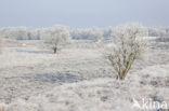 Gasterse Duinen