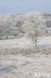 Gasterse Duinen