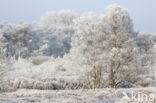 Gasterse Duinen