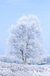 Gasterse Duinen