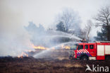 Hoog Buurlose Heide