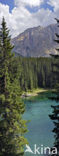 Lago di Carezza