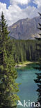 Lago di Carezza