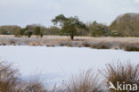 Landgoed De Klencke