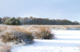 Landgoed De Klencke