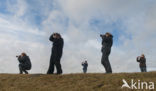 Nationaal Park Lauwersmeer