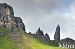 Old Man of Storr