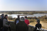 Réserve naturelle de la Baie de Somme