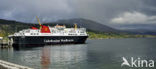 Ullapool