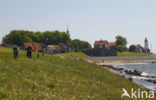 Urk