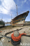 Camaret-sur-Mer