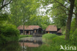 De Collse watermolen