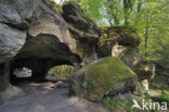 Hohllay cave